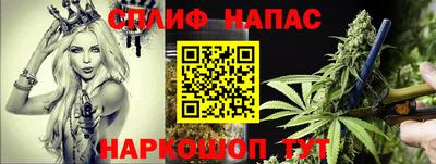 молекула духа Брянск