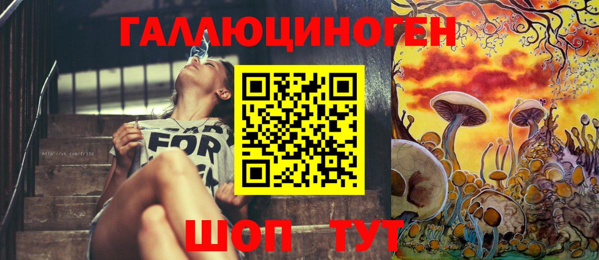 Галлюциногенные грибы Psilocybine cubensis Аксай